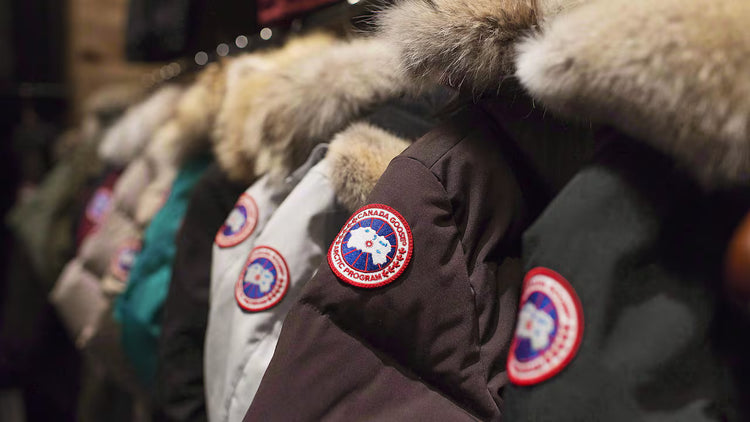Canada Goose